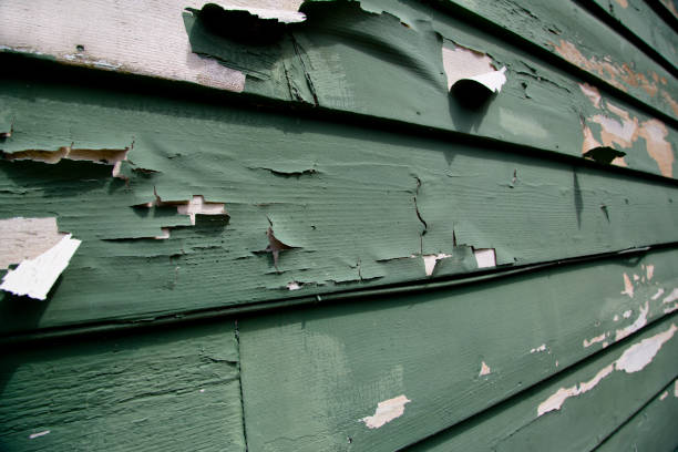 Port Norris, NJ Siding Installation & Repair Company