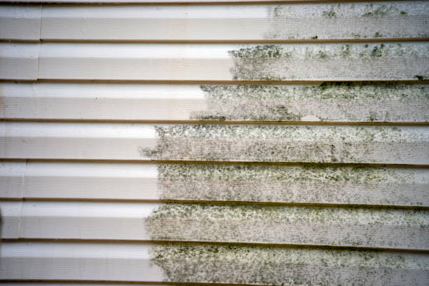 Historical Building Siding Restoration in Port Norris, NJ