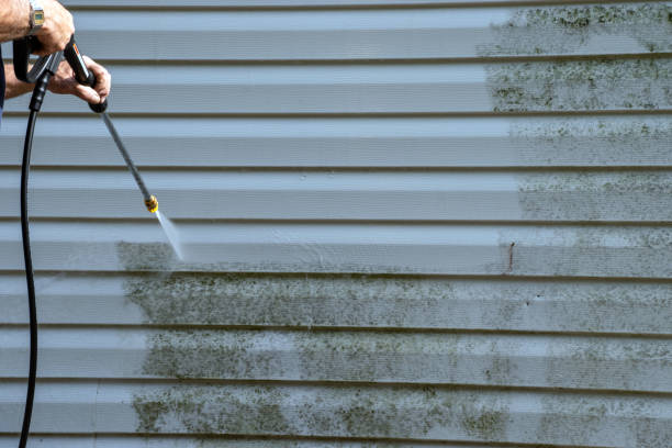 Best Historical Building Siding Restoration  in Port Norris, NJ