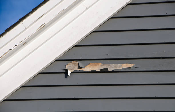 Best Siding Removal and Disposal  in Port Norris, NJ