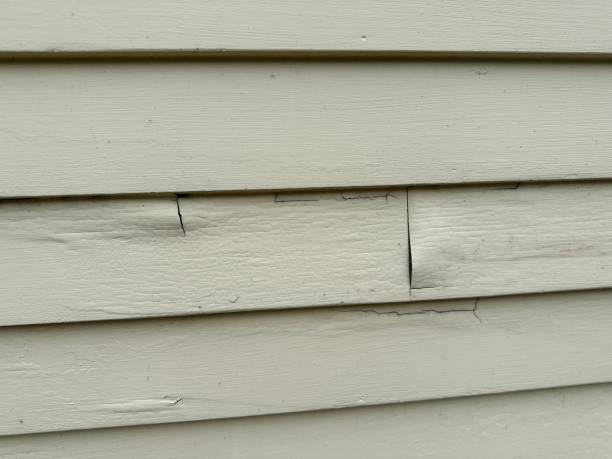 Affordable siding repair and maintenance services in Port Norris, NJ
