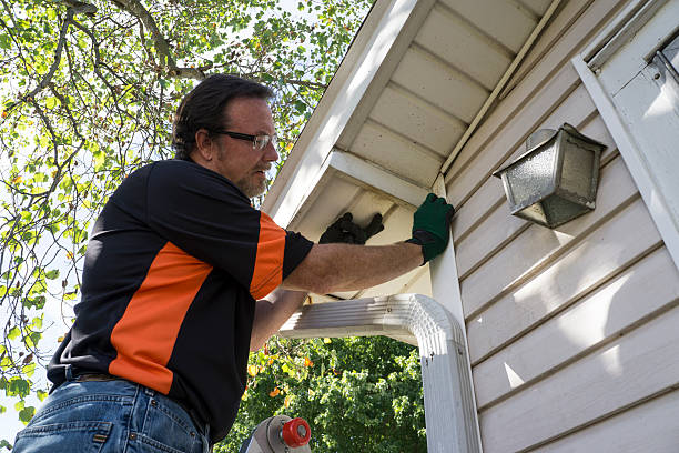 Best Brick Veneer Siding  in Port Norris, NJ